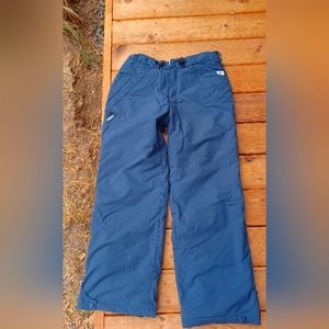 Roxy x-series Blue snowpants